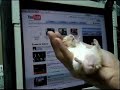 Hamsty in \"Hypnotize me\" RE: Hamster Dance Ninja Madv skills Hamsty in \"Hypnotize me\" RE: Hamster Dance Ninja Madv skills