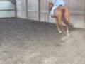 Red Dun Jet