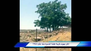 افلام - زيارة الحاج يوسف أحمد حسن  أبو أسامة  الى قرية علما فلسطين عام ٢٠١٦