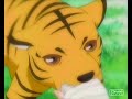 Kisa - Stand Kisa - Stand