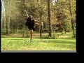 the Bird Cage for Spirit (part 2)