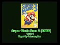 vggameplay plays through the eigth world of super mario bros 3 on the snes. this is the 15th video covering all of the worlds within the game. gameplay and commentary is by princescyther.