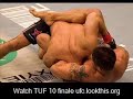 Alexander vs Slice Torrent File