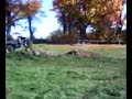 Quad jump 4 Quad jump 4
