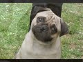 Video screenshot