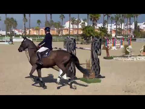 I M AN ANGEL - 1M45 - MET OLIVA - FEBRUARY 2026