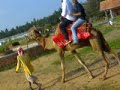 Vinyak n Nijil enjoing their camel ride