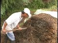 Floricultura Para Rato II