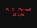 FL-X - Pursuit of Life *SCHRANZ* FL-X - Pursuit of Life *SCHRANZ*