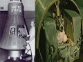 NASA:GALERIA DE FOTOS/TELESCÓPIO ESPACIAL HUBBLE