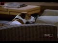 Frasier - A Valentine for Niles - David Hyde Pierce - Flixster Video