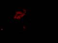 Dir en grey - Le Medley, Montreal