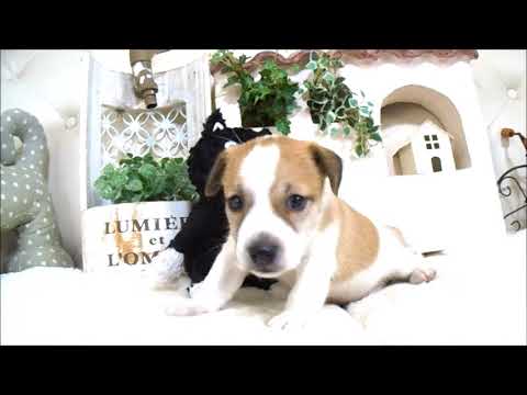 YouTube Preview Image