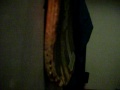 got bass
