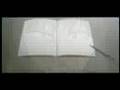 [32 sec] Bleach Beta ~ Jillian WT