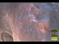 stomp and chomp   hippos