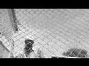 Busy Signal - Jail