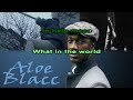 Bekijk muziek clip van Aloe Blacc met I Need A Dollar (Instrumental)