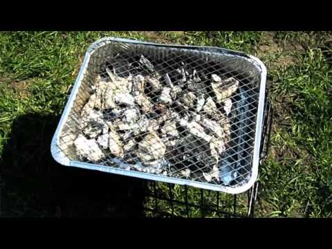 Einweg Picknick Grill