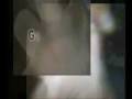 videos de Gained War - Task