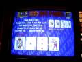 Bwb - Red Hot Poker