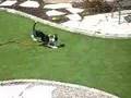 videos de Golfing!