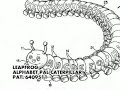 Electronic Toy Patents