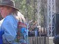 the desert rose band performs 