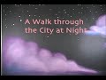 A Walk Through the City at Night