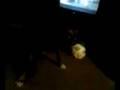 I'm NOT putting my ball down!!!