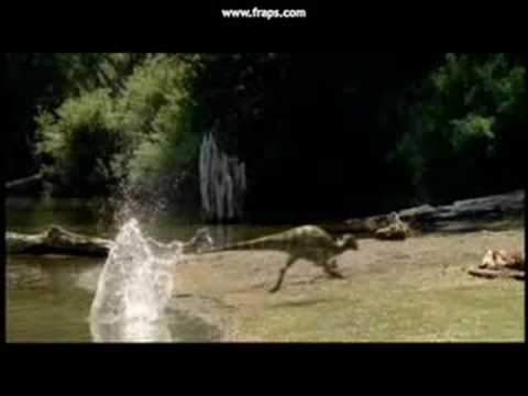 walking with dinosaurs dromaeosaurus walking with dinosaurs dromaeosaurus