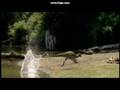 Dromaeosaurus hunting Parksosaurus