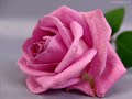 ZAFER PEKER - Ay S�z�l�r