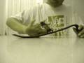 videos de slo mo crowbar sesh
