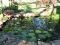 My Peaceful Place