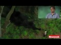 Lost on 'Lost' - video.Newsweek.com