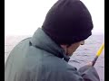 pesca bolentino pesca bolentino