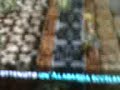 La mia alabarda eccelsa in Final Fantasy XII La mia alabarda eccelsa in Final Fantasy XII