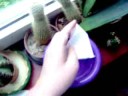 Alltagsfrage: Was macht den Becher so stabil?