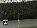 Fox 13, Tampa Report