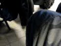 edouard victimisé par petit signe