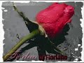 sinan-hoxha-parfumi.html