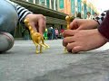 Carreras de jirafas Carreras de jirafas