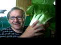From Bodine's Garden - Bok Choi