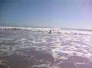 La Conchita Surf Dog La Conchita Surf Dog