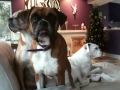 Beanie bubba and the girls singing