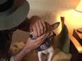 Great Basenji Hunter