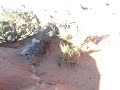 Bad Fall