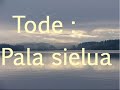 Tode - Pala sielua Tode - Pala sielua
