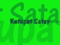 Ketupat Satay 1